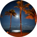 Steve S Avatar